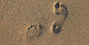 footprint-2353510_1920